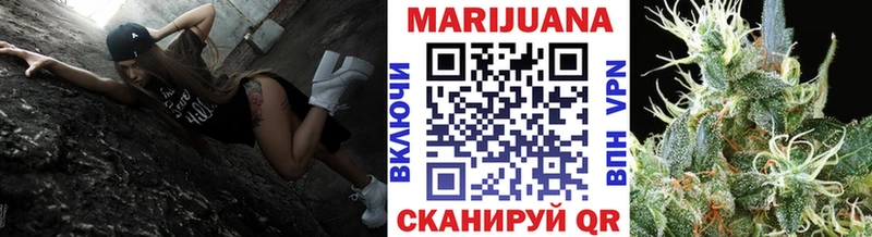 Купить где  Куровское  МАРИХУАНА планчик 